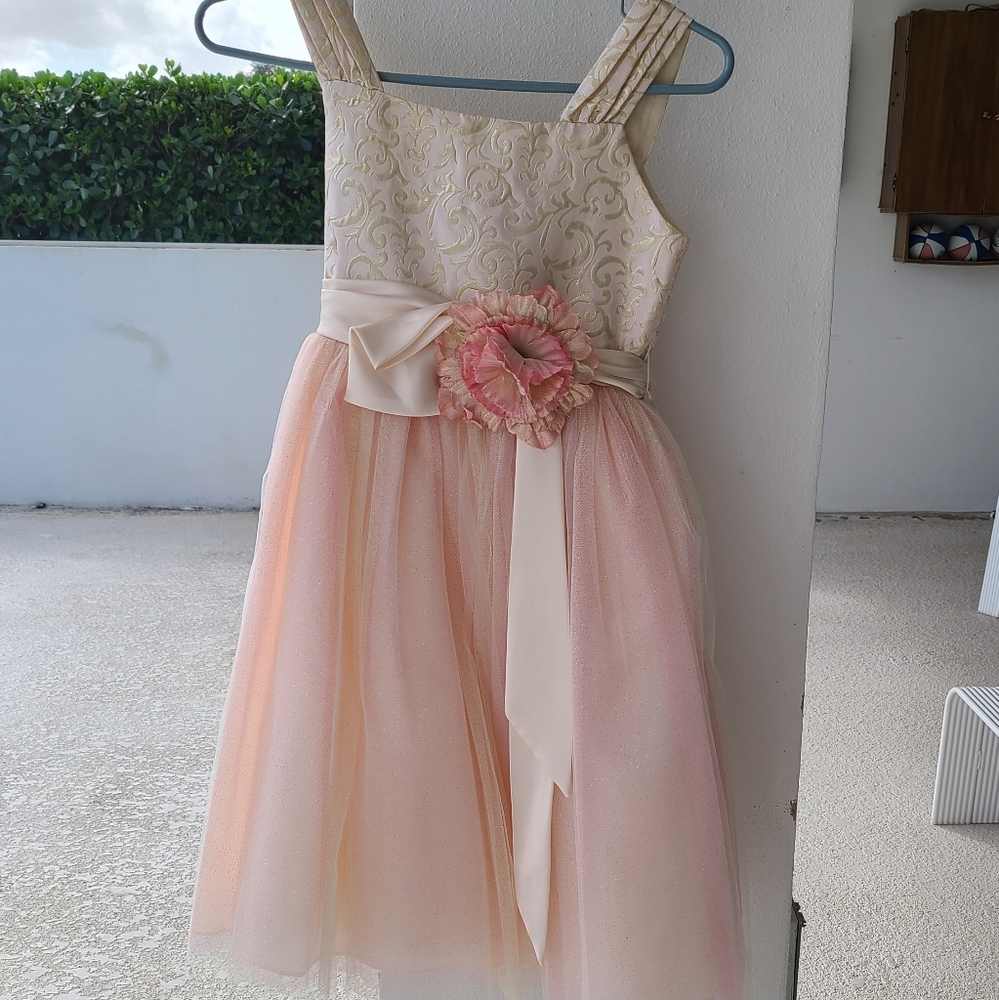 Chantilly Place Size 12y dress